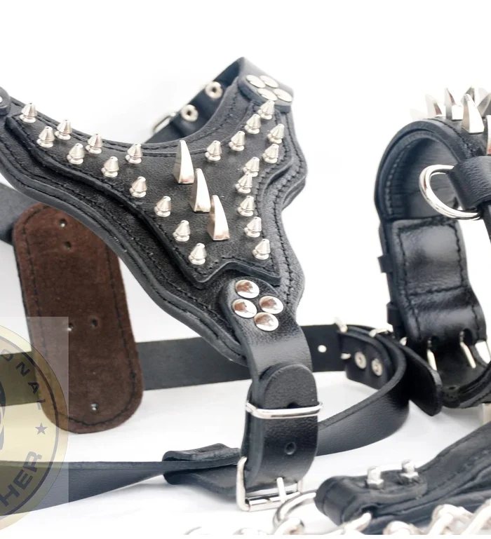 Spiked Leather Dog Harness Set: Personalized Collar, Leash, Large Breeds