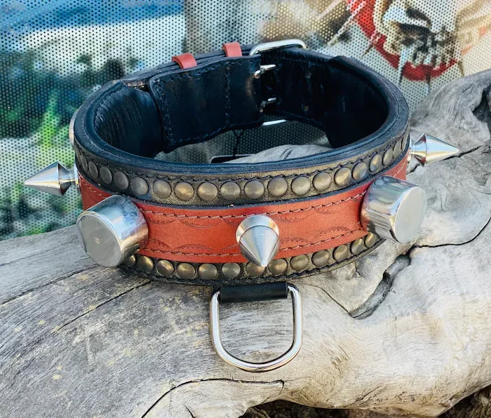 Handmade Leather Dog Collar: Custom Engraved Name Plate