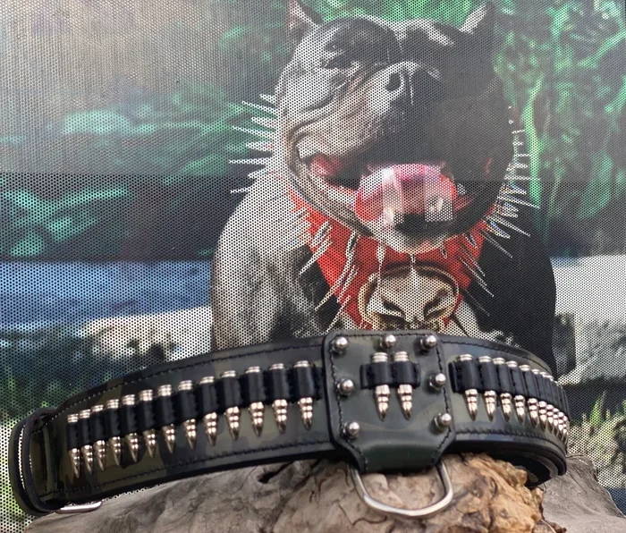 Handmade Buffalo Leather Bullet Dog Collar | Engraved Custom Pitbull Collar