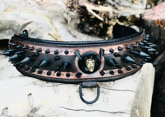 Spiked Leather Dog Collar