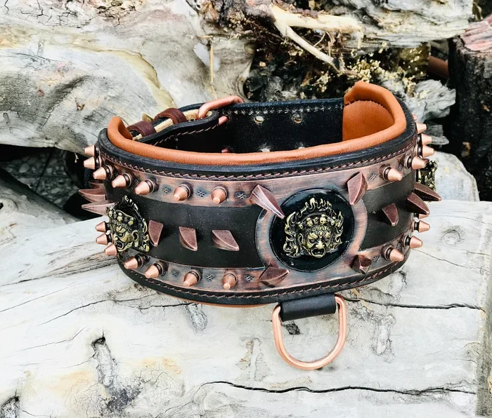 Handmade Leather Dog Collar: Engraved Copper Medusa Collar, Large Breed