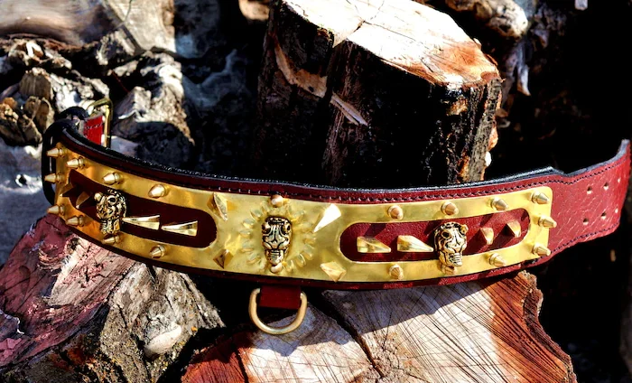 Handmade Spiked Leather Dog Collar: Gold American Bully Emblem