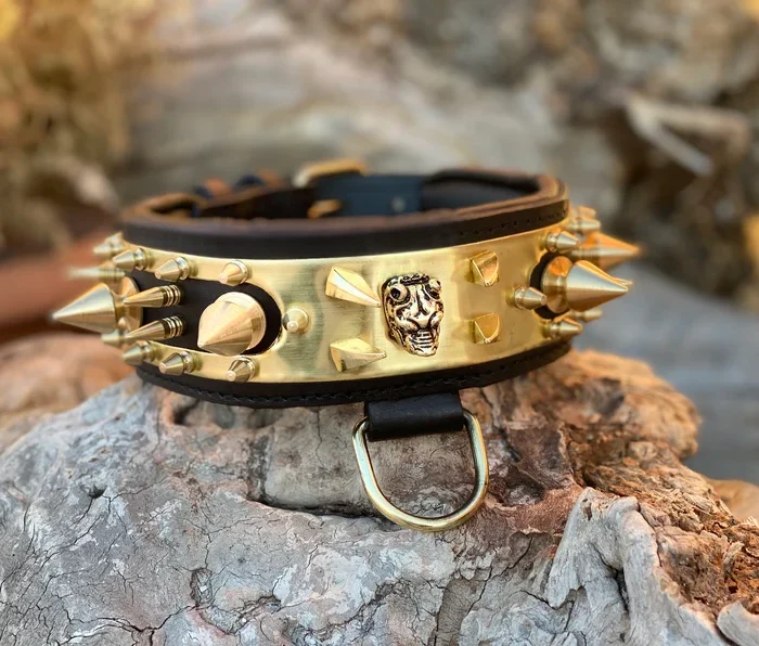 Handmade Leather Dog Collar: Gold Steel Plates & Spikes, Large Breeds