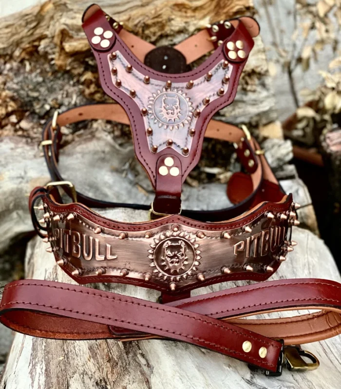 Gladyator Leather Dog Harness Walk Set: Personalized Engraved Collar