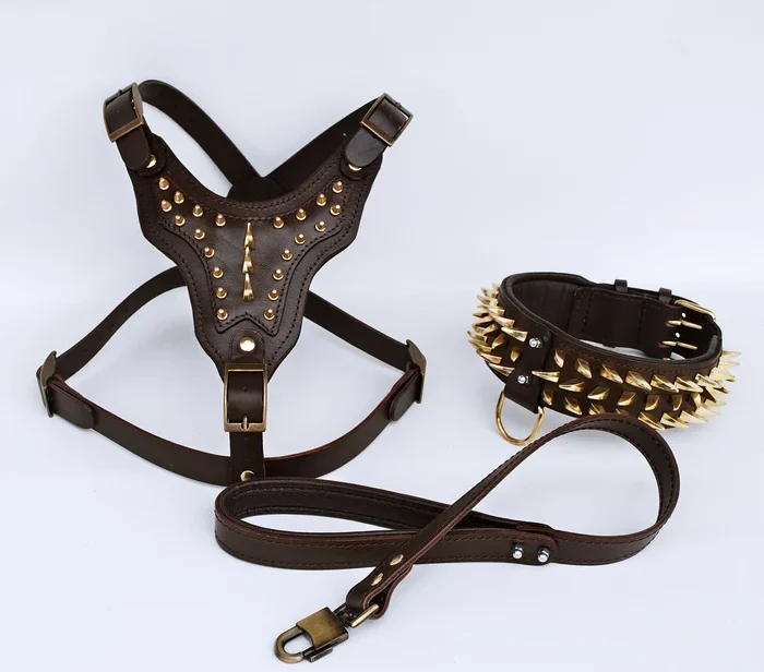 Handmade Buffalo Leather Dog Harness Walk Set: Personalized Spiked Collar