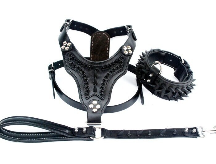 Handmade Buffalo Leather Dog Harness Walk Set: Personalized Spiked Collar