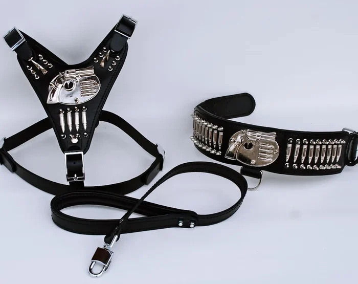 Handmade Buffalo Leather Dog Harness Walk Set: Engraved Collar, Leash