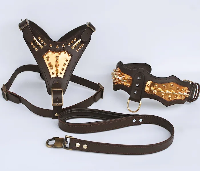 Handmade Buffalo Leather Dog Harness Set: Personalized Spiked Collar, Leash