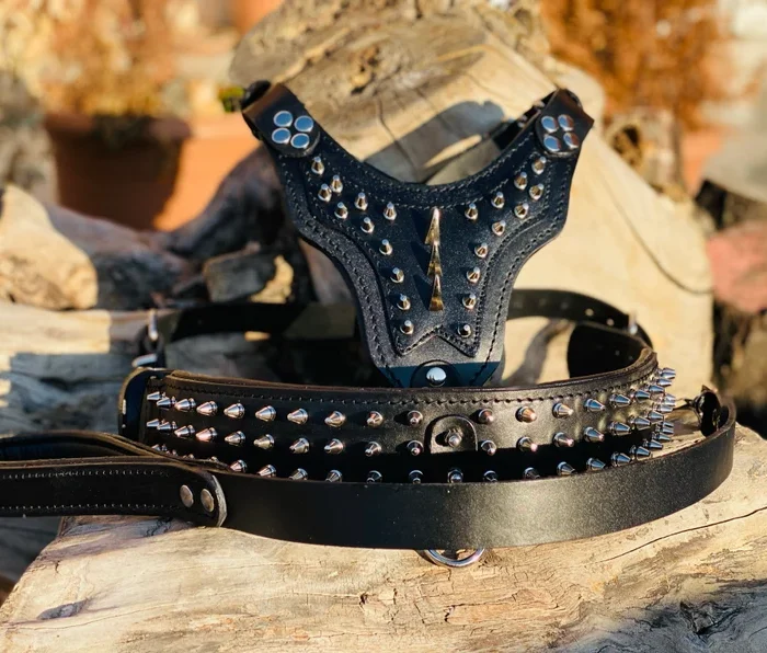 Handmade Buffalo Leather Dog Harness Set: Personalized Spiked Collar & Leash