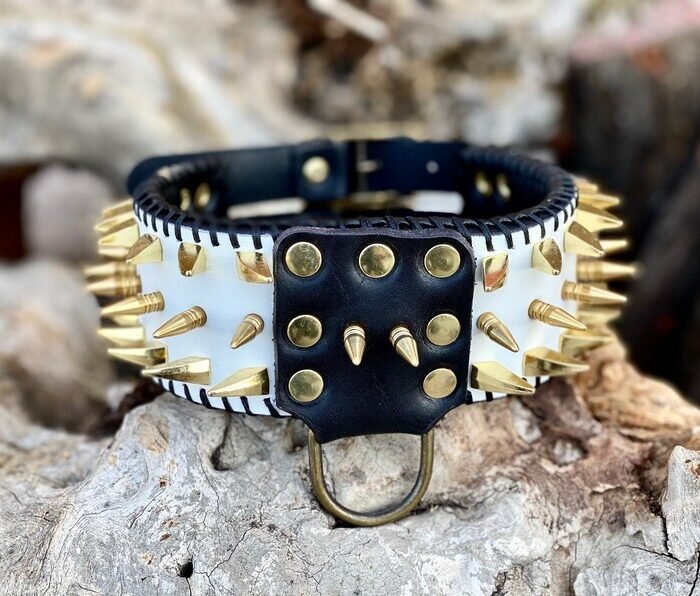 Handmade White Leather Dog Collar: Gold Spiked, Large Breed