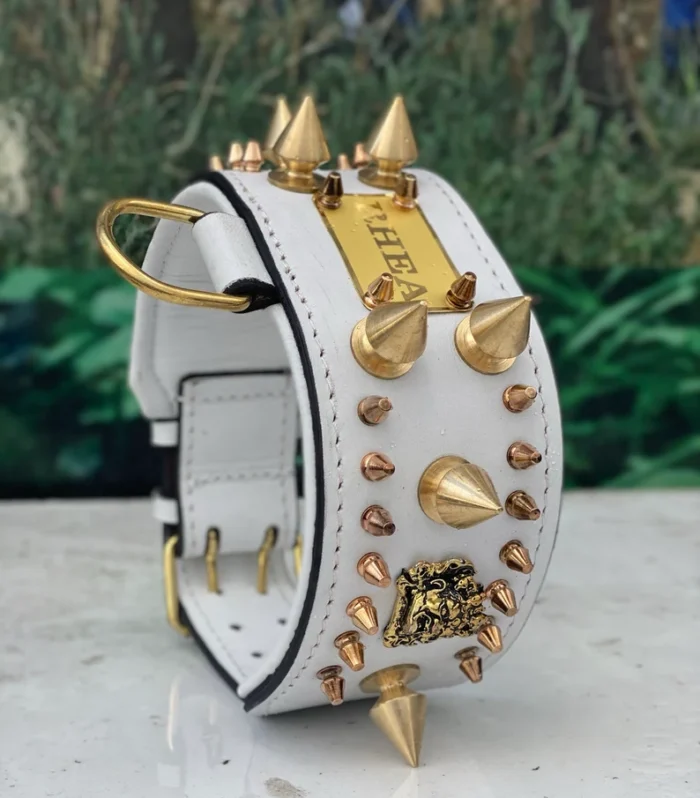 Handmade White Leather Spiked Dog Collar: Custom Name, Large Breed
