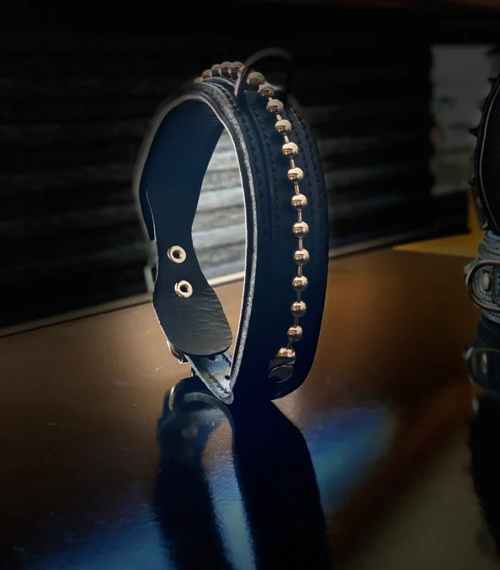 Black Buffalo Leather Dog Collar: Brass Bead Detail, Padded Lining