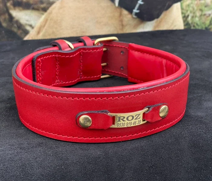 Red Buffalo Leather Dog Collar: Laser Engraved Nameplate, Wide Personalized Collar