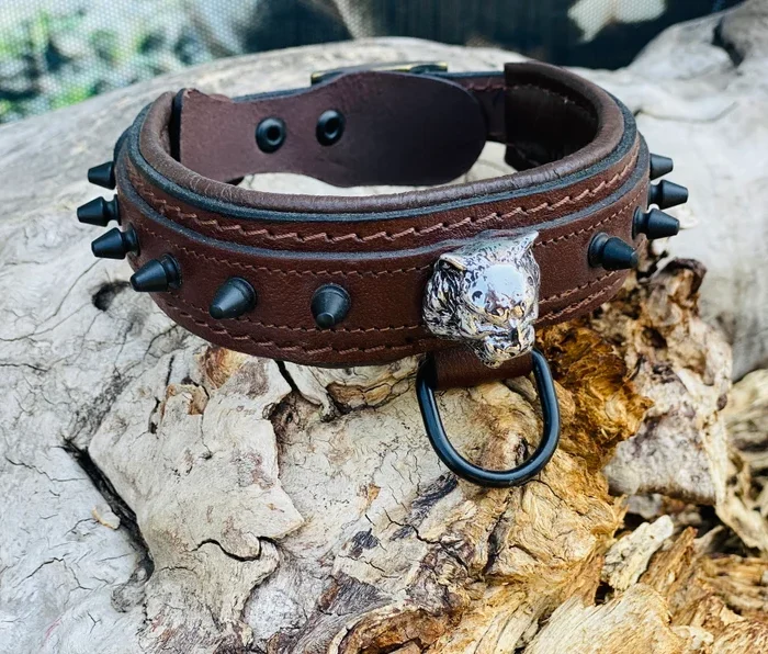 Brown Leather Spiked Dog Collar: Silver Lion Emblem, Padded Comfort