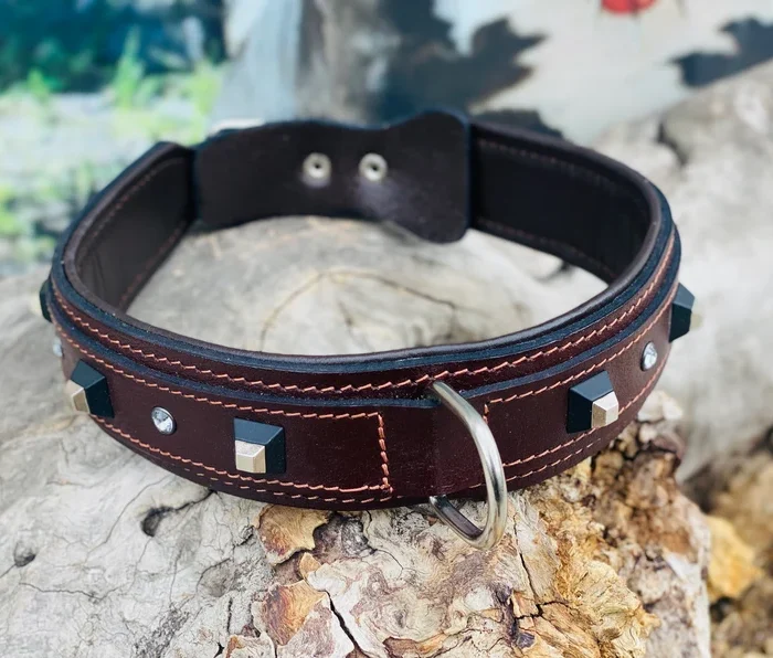 Brown Buffalo Leather Dog Collar: Black Studs & Crystals, Padded Lining