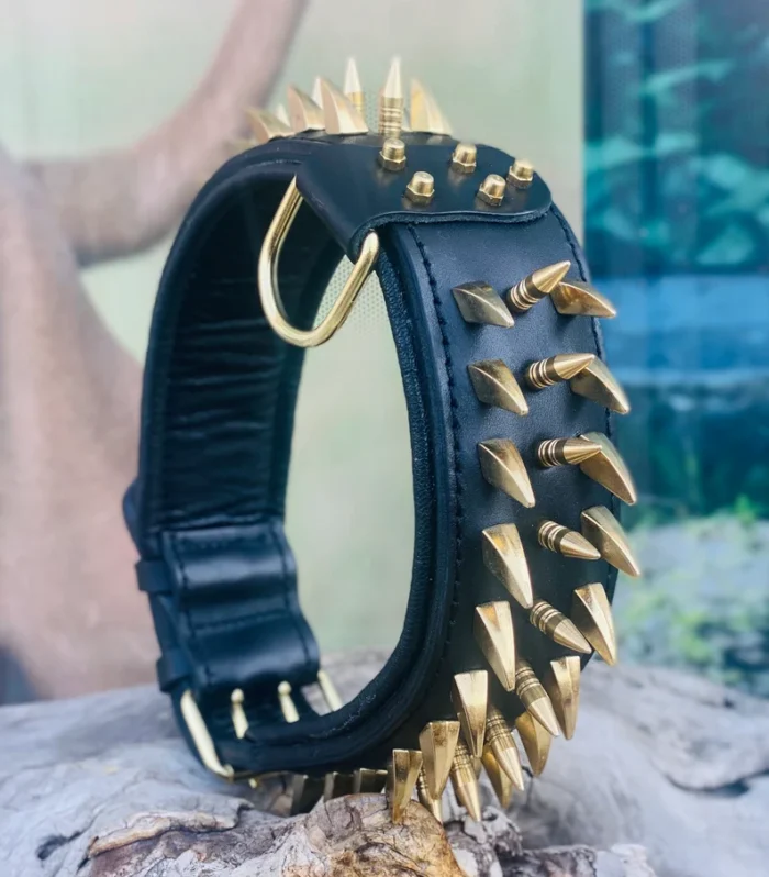 Spike Dog Collar: Handmade Buffalo Leather, Personalized Engraved Name Plate