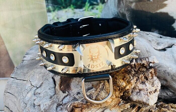 Handmade Crystal Stone Dog Collar: Engraved Leather Collar