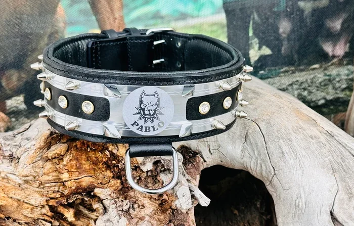 Handmade Buffalo Leather Dog Collar: Personalized Engraved Name Plate