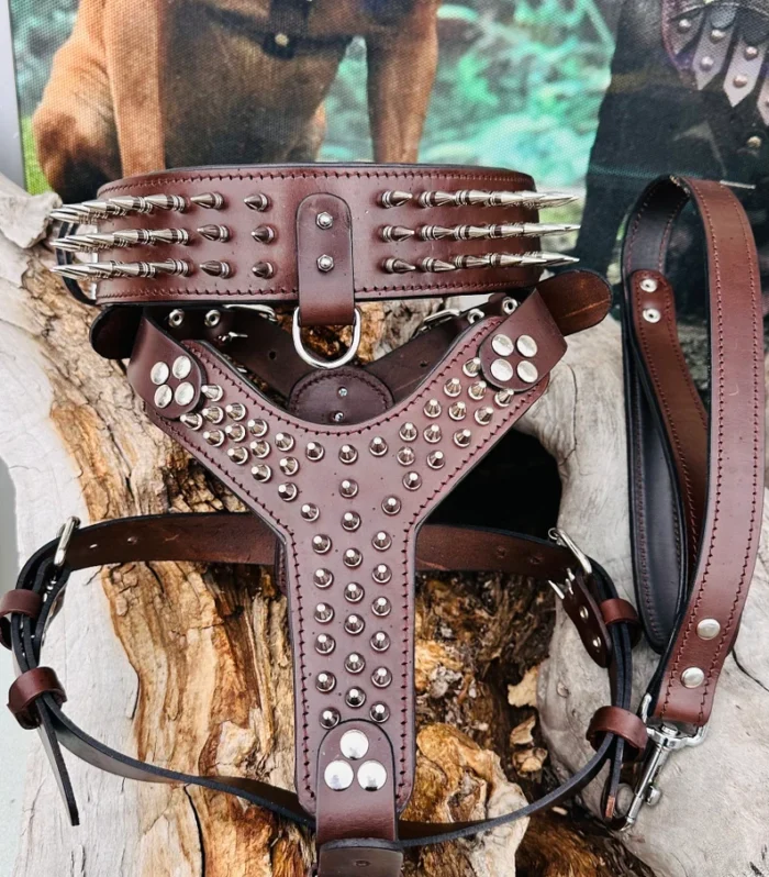 Handmade Buffalo Leather Dog Harness Set: Personalized Spiked Collar