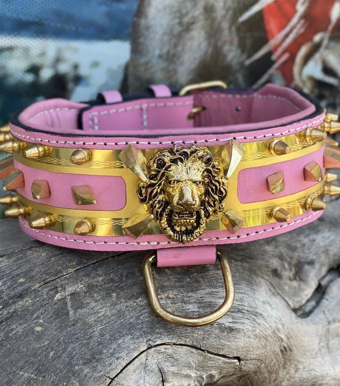 Handmade Leather Dog Collar: Custom Engraved Name Plate, Spiked Design