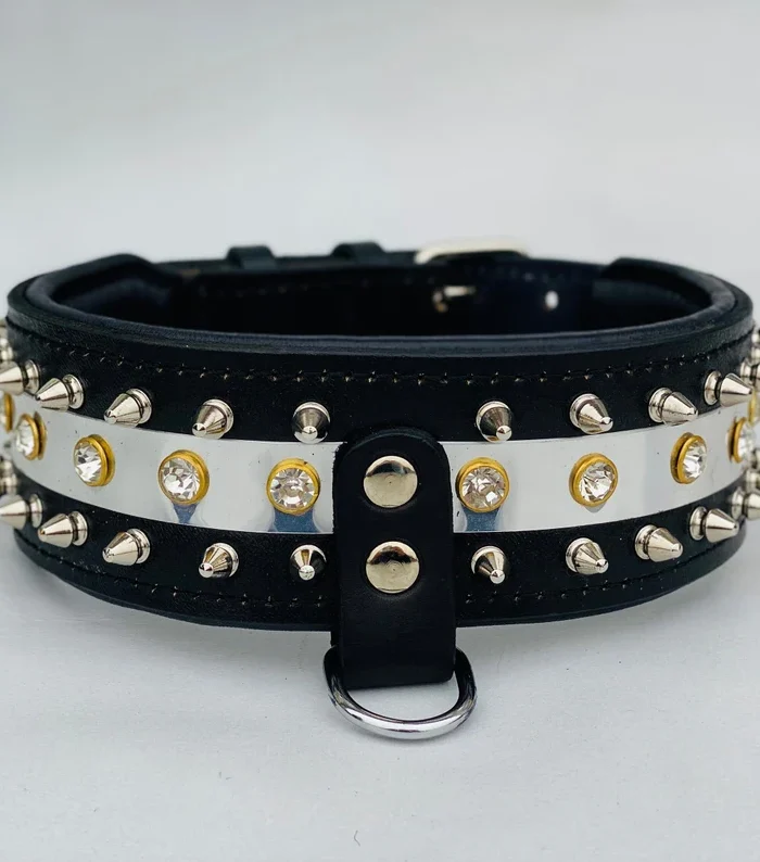 Handmade Leather Dog Collar: Custom Engraved Name Plate, Spiked Design