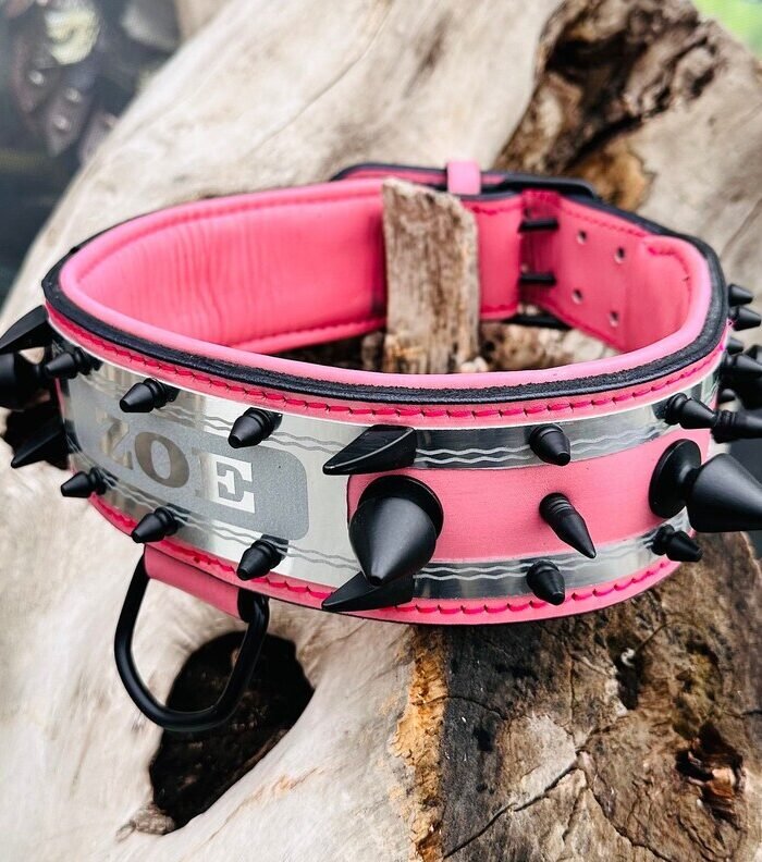 Personalized Leather Dog Collar: Handmade Buffalo Leather, Custom Embroidered