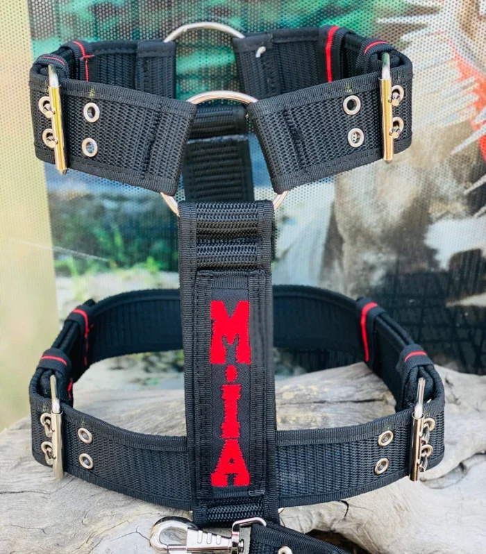 Embroidered Nylon Dog Collar Harness Leash Set: Heavy Duty, Personalized