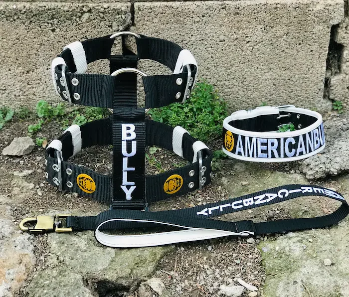 Handmade Nylon Dog Collar Set: Custom Engraved Pet Collar