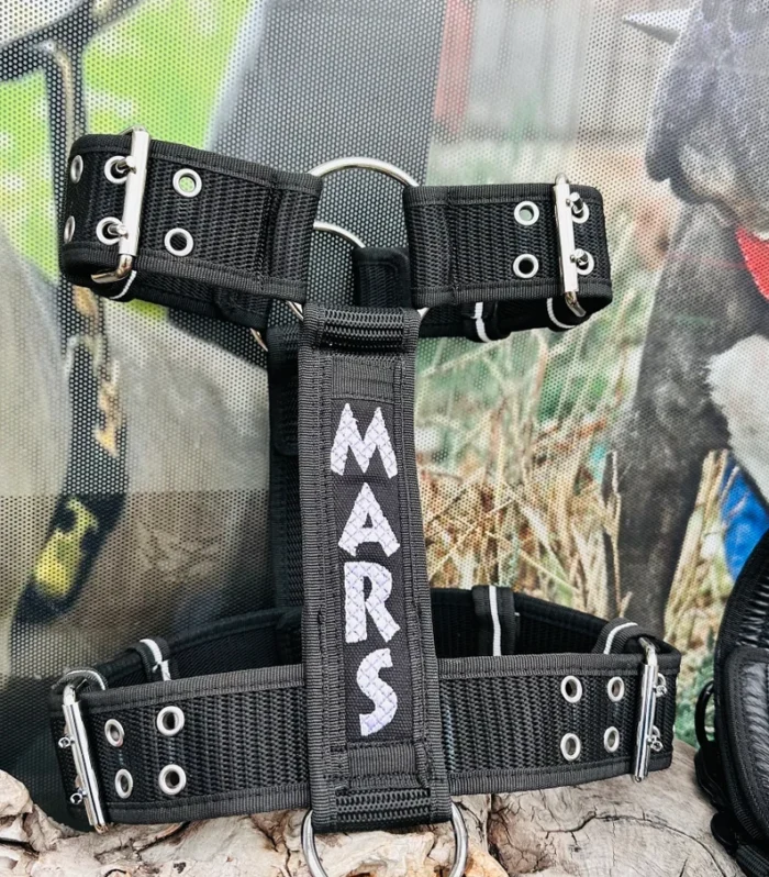 Personalized Military Webbing Dog Harness Set: Embroidered Name, Heavy Duty