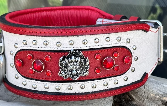 Handmade Leather Dog Collar: Red Crystal, Personalized Name Plate