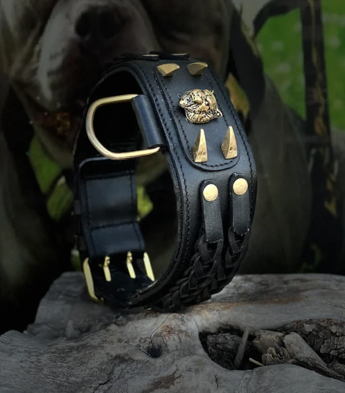 Handmade Braided Black Leather Dog Collar | Lion Logo, Large Breeds