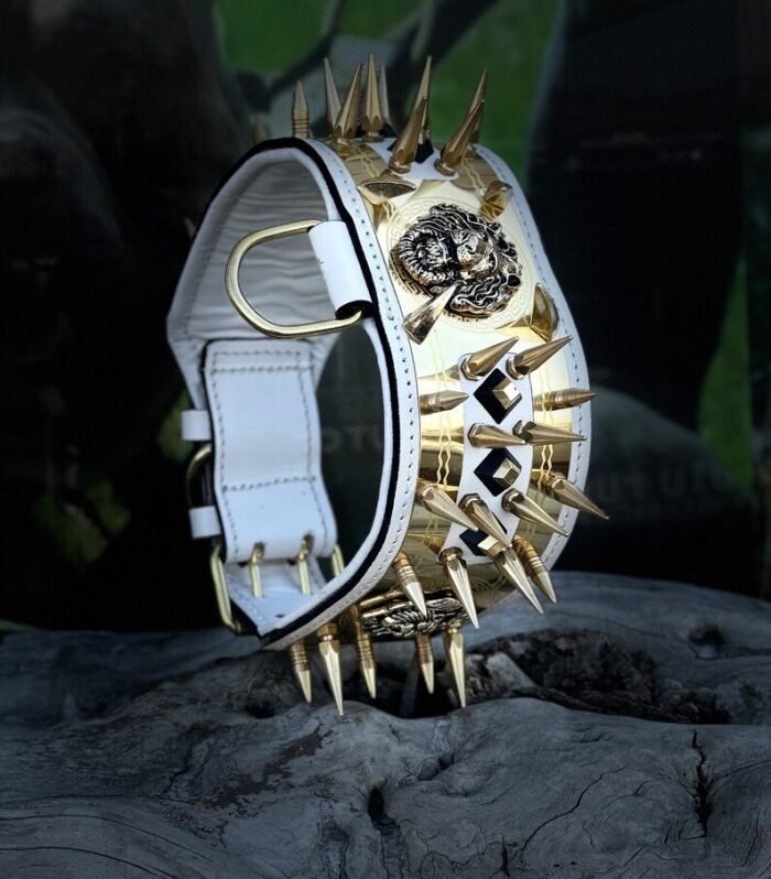 Handmade Spiked Leather Dog Collar: Gold Steel-Plated, Large Breed