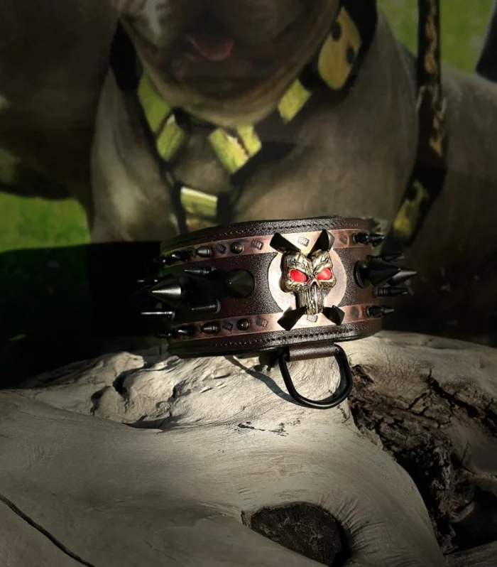 Handmade Buffalo Leather Dog Collar: Personalized Engraved Name Plate