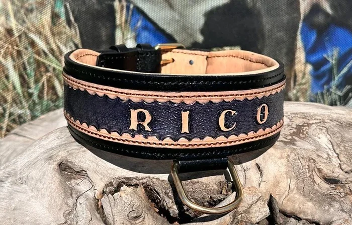 Handmade Buffalo Leather Dog Collar: Personalized Engraved Name Plate