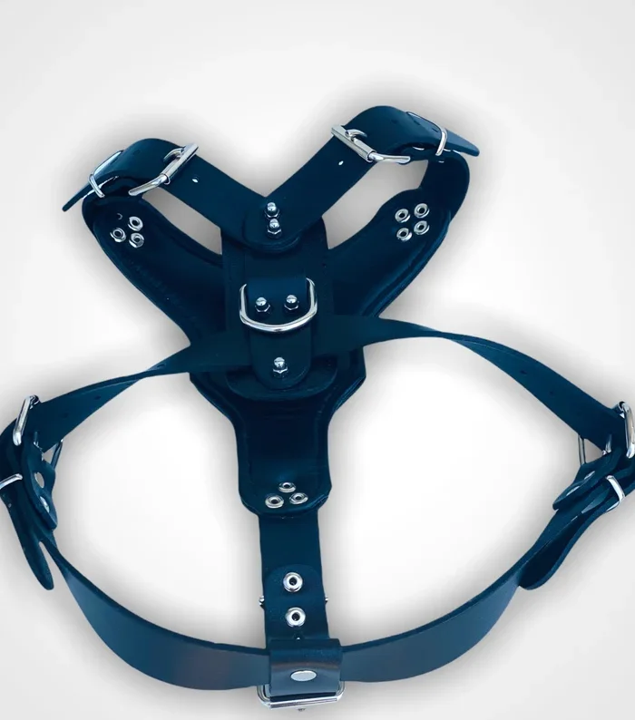 Handmade Leather Dog Harness: Custom Engraved Collar with Skull