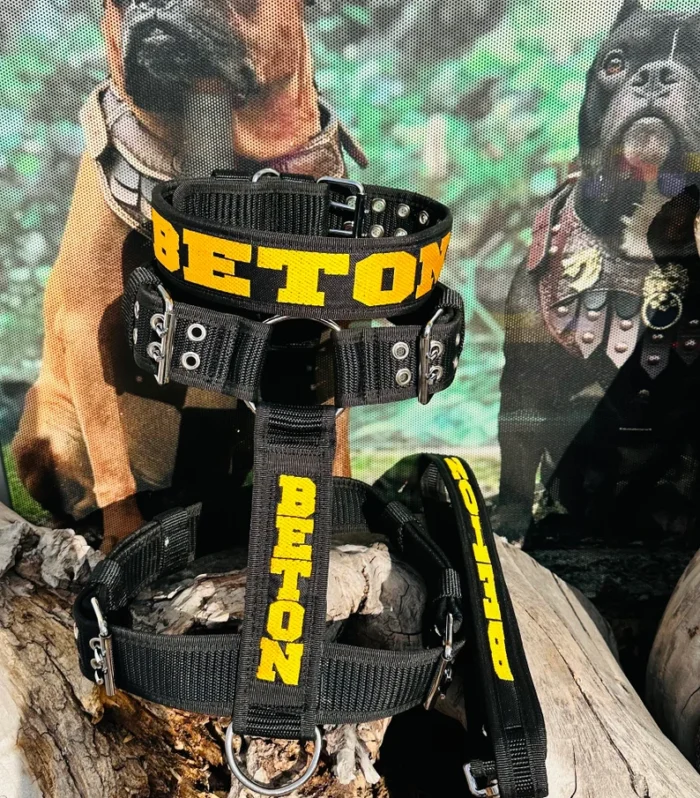 Handmade Personalized Nylon Dog Collar Set: Engraved Custom Pet Collar
