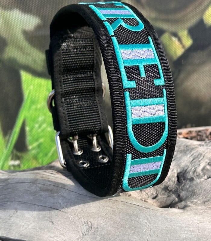 Personalized Nylon Dog Collar Leash Set: Embroidered Custom Name