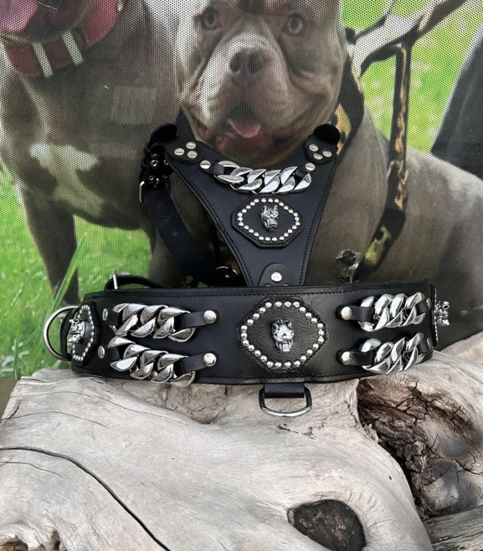 Handmade Leather Dog Collar Harness Set: Chrome Chain American Bully Design