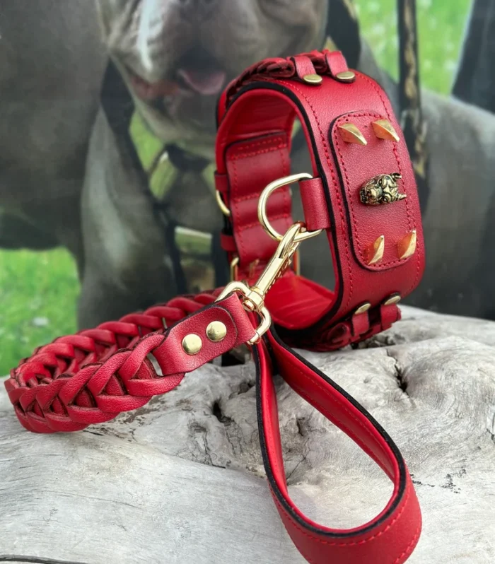 Handmade Buffalo Leather Dog Collar: Custom Engraved Name Plate