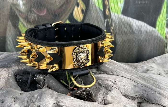Handmade Spiked Leather Dog Collar: Personalized Copper Work Collar