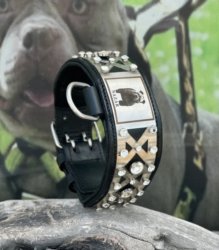 Custom Photo Dog Collar: Padded Buffalo Leather, Crystal Studded - Large Breeds