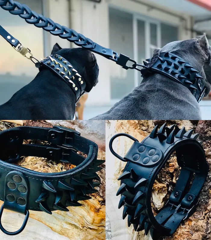 Handmade Buffalo Leather Dog Collar: Custom Engraved Name Plate - Custom Dog Collar Personalized Collars