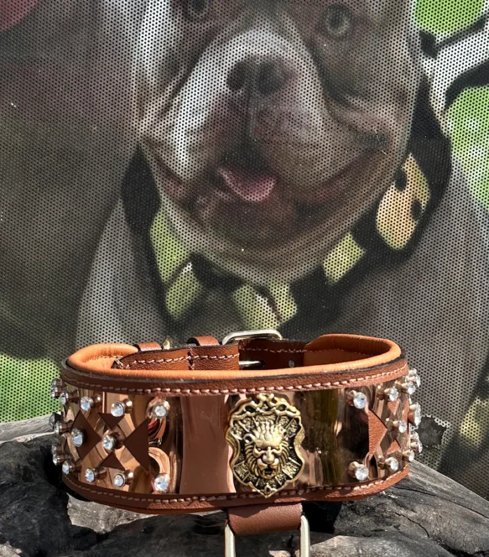 Handmade Buffalo Leather Dog Collar: Crystal & Steel Plate Collar for Large Breeds
