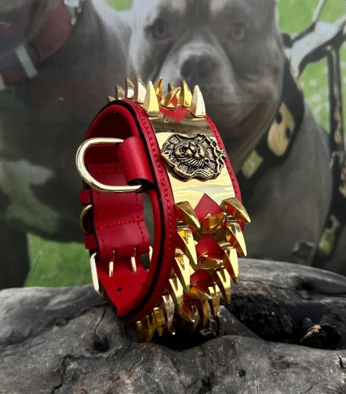 Personalized Buffalo Leather Studded Dog Collar: Custom Engraved