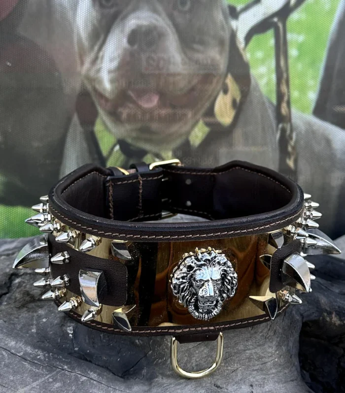 Handmade Studded Leather Dog Collar: Personalized Engraved Name Plate