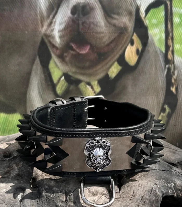 Spiked Black Steel Dog Collar: Buffalo Leather, Lion Emblem, Large Breeds