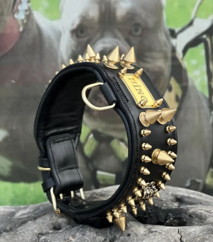 Custom Wide Leather Dog Collar: Gold Spikes, Brass Name Plate