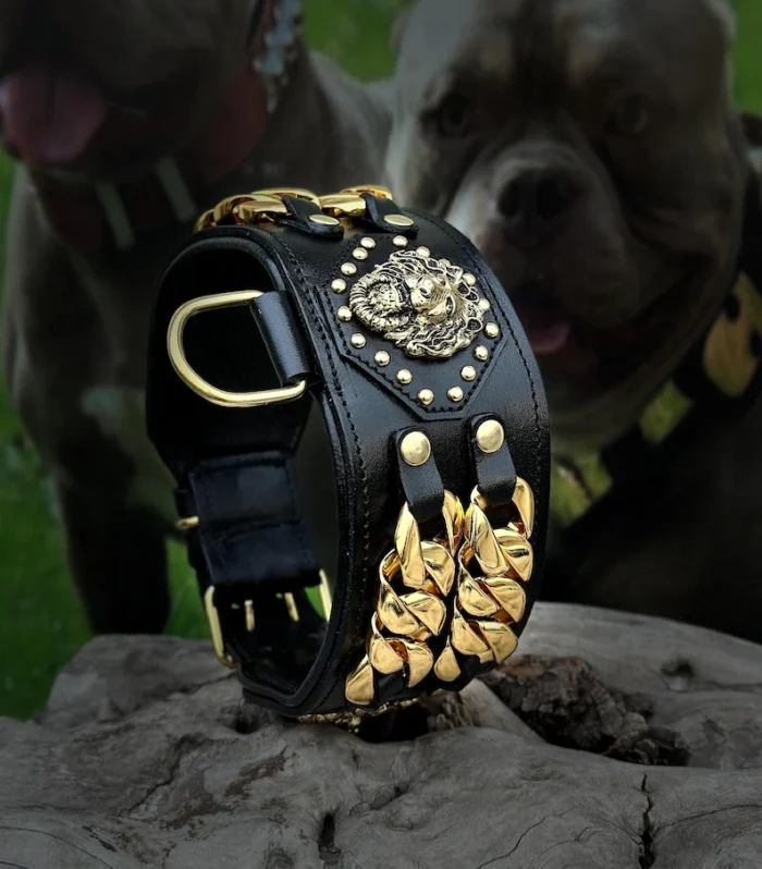 Luxury Leather Dog Collar Harness Set: Gold Chain Lion Logo