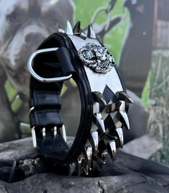 Handmade Spiked Leather Dog Collar: Personalized Engraved Name Plate