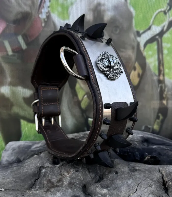 Handmade Leather Dog Collar: Personalized Photo Engraved, Spiked Design